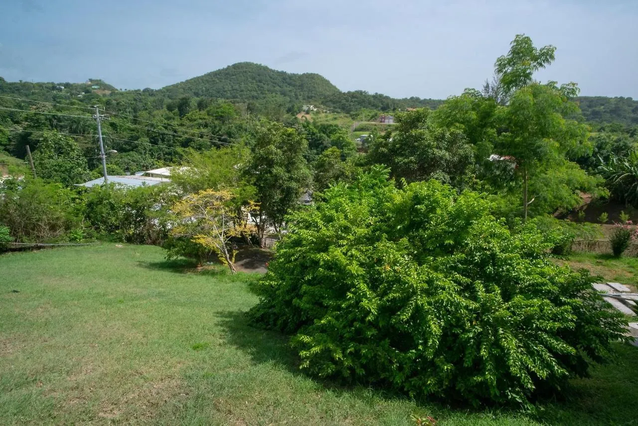 Senderos 4 A Cozy Studio 4 Min From The Beach Rincon